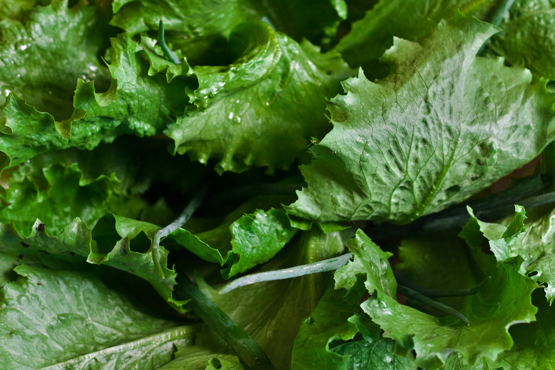 Healthy Foods To Control Diabetes - Leafy Greens