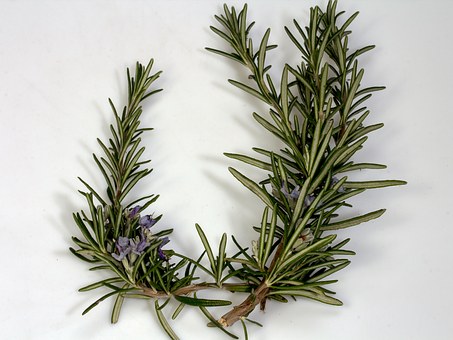 Boost Hair Growth With Herbs - Rosemary